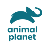 Animal Planet logo