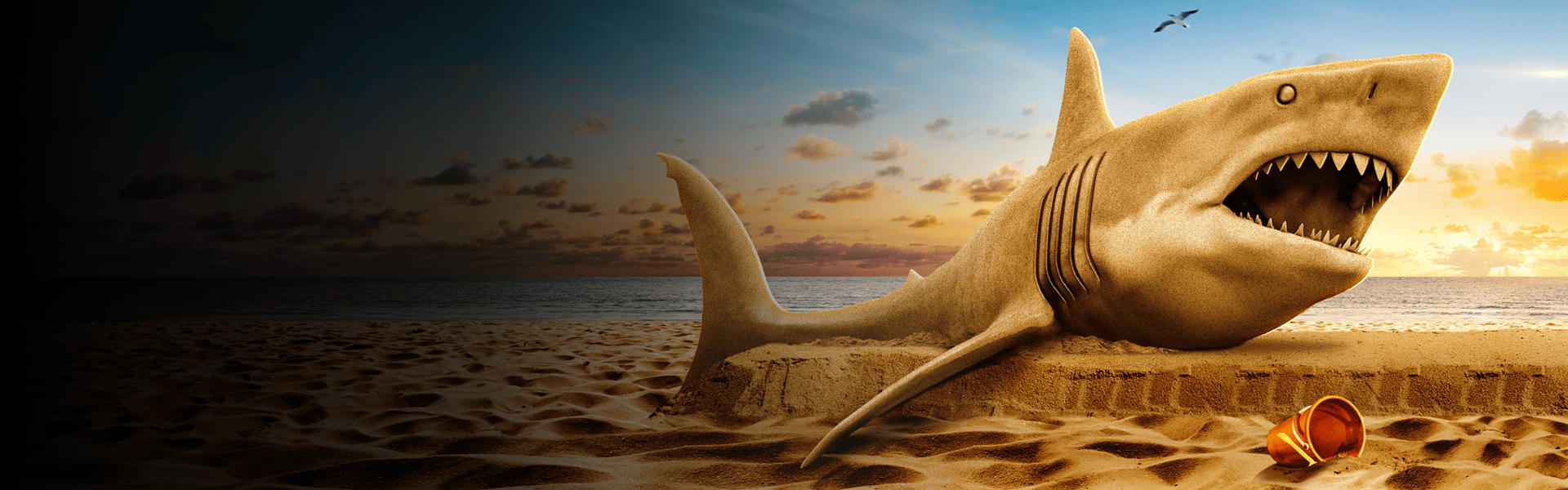 shark week banner