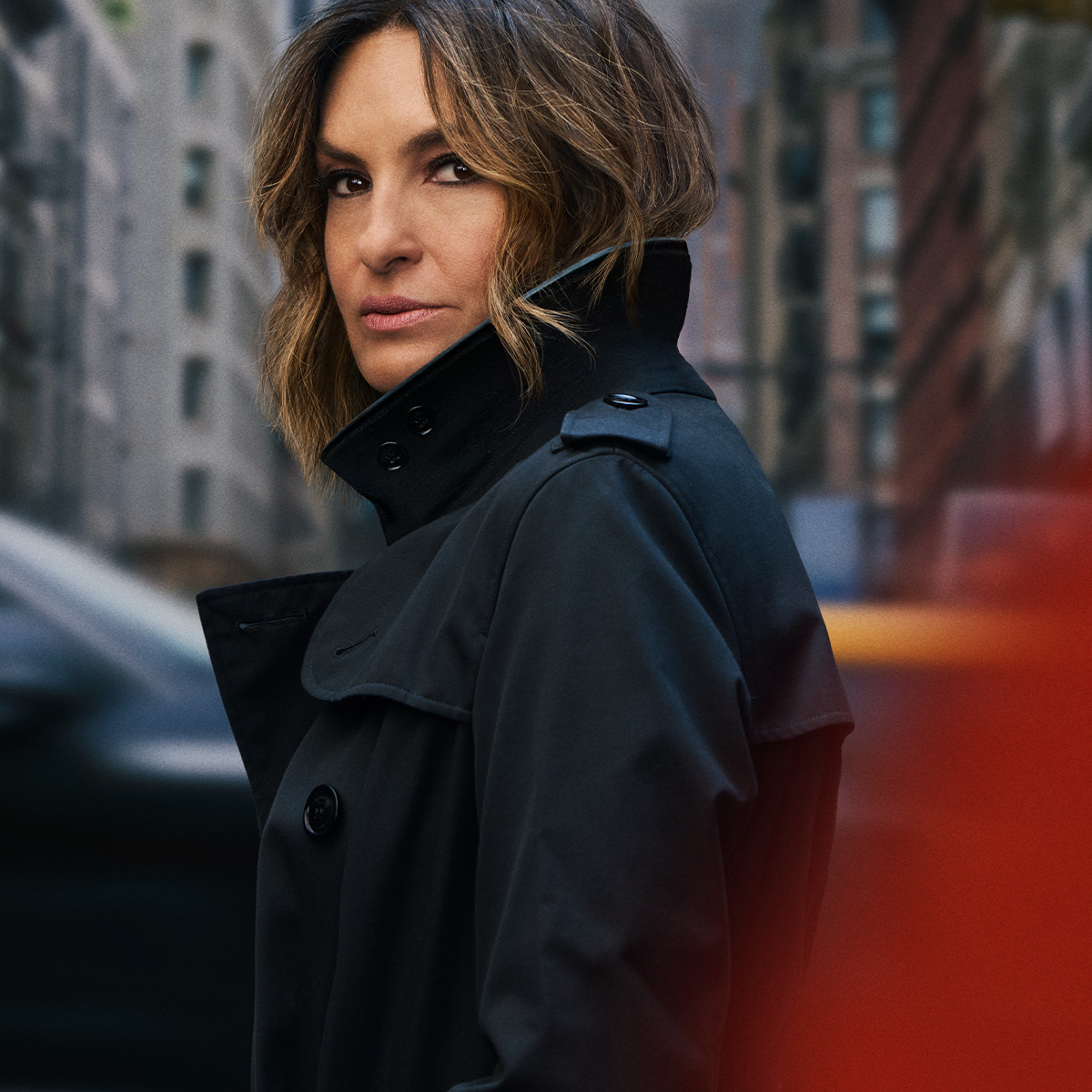 Law and Order SVU image